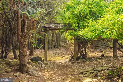 65 Covered Bridge Road, New Hope, PA 18938 - Photo 111