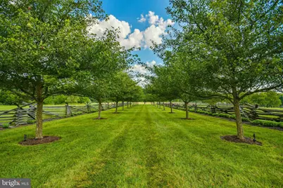 1 Ridge Valley Road, Ottsville, PA 18942 - Photo 69