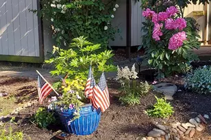 11 Eden Roc St, New Hope, PA 18938 - Photo 45