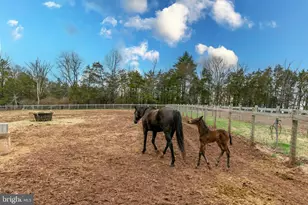 180 Municipal Rd, Pipersville, PA 18947 - Photo 57