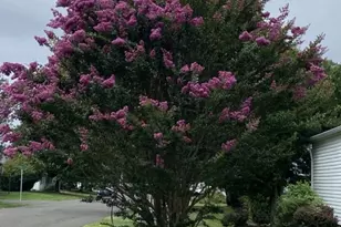 449 Grouse Ct W, New Hope, PA 18938 - Photo 31