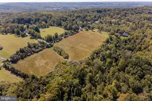 3605 Windy Bush Rd, New Hope, PA 18938 - Photo 55