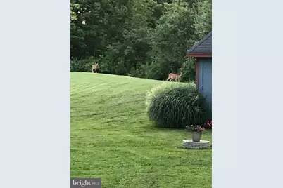 2232 Swamp Road, Fountainville, PA 18923 - Photo 5