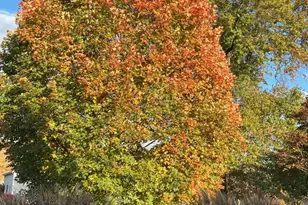 107 Carousel Cir, Doylestown, PA 18901 - Photo 31