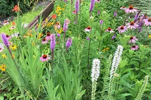 107 Carousel Cir, Doylestown, PA 18901 - Photo 29