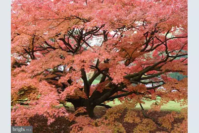 92 Homestead Drive, Doylestown, PA 18901 - Photo 45