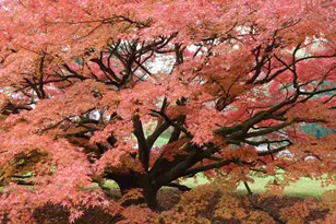 92 Homestead Dr, Doylestown, PA 18901 - Photo 45