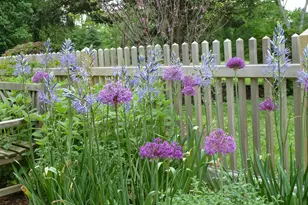 92 Homestead Dr, Doylestown, PA 18901 - Photo 47