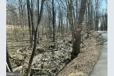 00 Lonely Road, Sellersville, PA 18960 - Photo 5