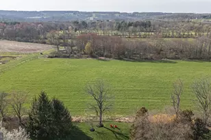 29 Juniper Ct, Carversville, PA 18913 - Photo 85