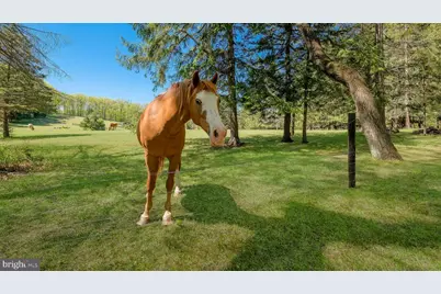135 Equestrian Drive, New Hope, PA 18938 - Photo 37