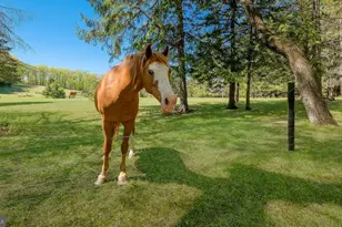 135 Equestrian Dr, New Hope, PA 18938 - Photo 37