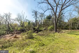 345 Park Ave, Chalfont, PA 18914 - Photo 49