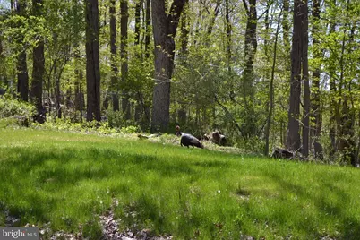 7201 Swagger Rd, New Hope, PA 18938 - Photo 27