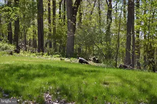 7201 Swagger Rd, New Hope, PA 18938 - Photo 27