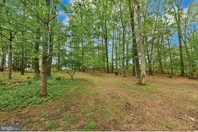 294 Nockamixon Road, Kintnersville, PA 18930 - Photo 51