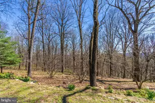 20 Solebury Mountain Rd, New Hope, PA 18938 - Photo 37