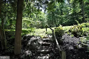 265 Windy Bush Rd, New Hope, PA 18938 - Photo 21