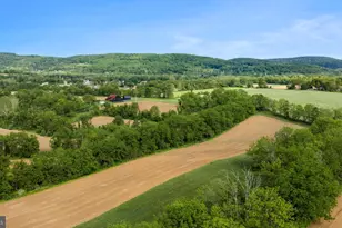 854 Spring Hill Rd, Riegelsville, PA 18077 - Photo 5