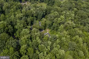 1505 Lonely Cottage Rd, Upper Black Eddy, PA 18972 - Photo 41