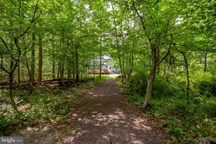 1505 Lonely Cottage Rd, Upper Black Eddy, PA 18972 - Photo 35