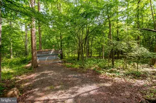 1505 Lonely Cottage Rd, Upper Black Eddy, PA 18972 - Photo 33