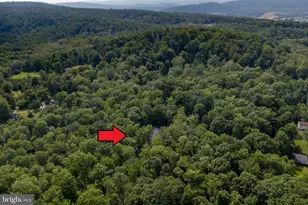 1505 Lonely Cottage Rd, Upper Black Eddy, PA 18972 - Photo 45