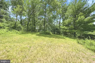 58 Center Hill Rd, Upper Black Eddy, PA 18972 - Photo 9