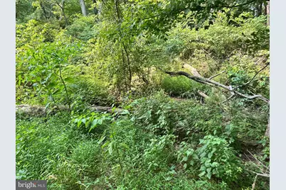 1442 Lot 1 Oxford Valley Rd, Yardley, PA 19067 - Photo 23