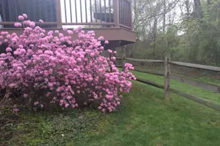 15 Avalon Ct, Doylestown, PA 18901 - Photo 33