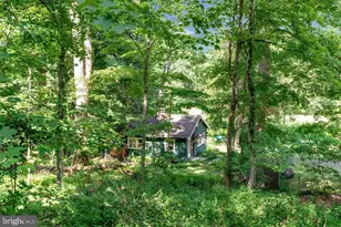 166 River, Pipersville, PA 18947 - Photo 45