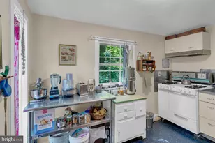 166 River, Pipersville, PA 18947 - Photo 35