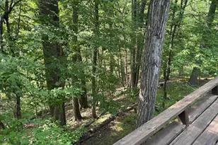 6489 Old Carversville Rd, Carversville, PA 18913 - Photo 29
