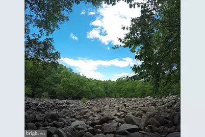 1863 Ringing Rocks Road, Upper Black Eddy, PA 18972 - Photo 7