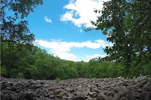 1863 Ringing Rocks Rd, Upper Black Eddy, PA 18972 - Photo 29