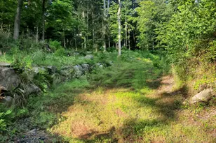 5968 State Park Rd, Pipersville, PA 18947 - Photo 1