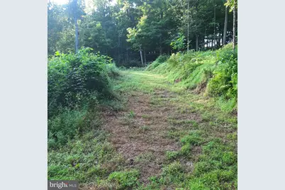 5968 State Park Road, Pipersville, PA 18947 - Photo 5