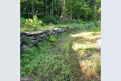 5968 State Park Road, Pipersville, PA 18947 - Photo 1