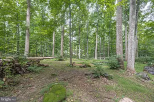 837 Church, Richlandtown, PA 18955 - Photo 43