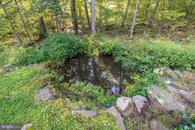 603 Haycock Run Road, Kintnersville, PA 18930 - Photo 61