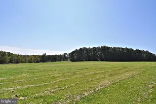 1515 Sugar Bottom Rd, Furlong, PA 18925 - Photo 79