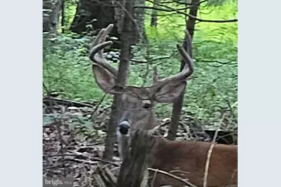 392 Peach Glen Road, Gardners, PA 17324 - Photo 73