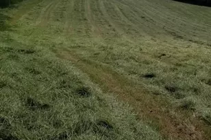 1158 Pine Rd, Carlisle, PA 17015 - Photo 43