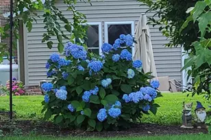 2404 Rye Cir, Mechanicsburg, PA 17055 - Photo 29