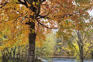 641 Erford Rd, Camp Hill, PA 17011 - Photo 31