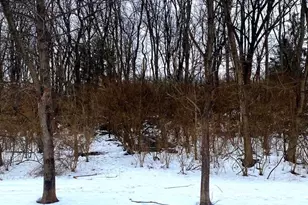 80 Vasilios Dr, Carlisle, PA 17015 - Photo 3