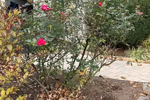 12 Southern Cross Dr, Boiling Springs, PA 17007 - Photo 65