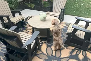 935 Grandon Way, Mechanicsburg, PA 17050 - Photo 33