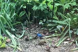 136 W Pomfret St, Carlisle, PA 17013 - Photo 53