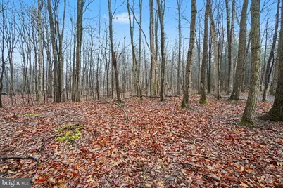 Lot Indian Peg Road, Boiling Springs, PA 17007 - Photo 3